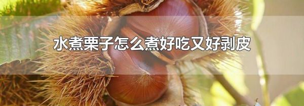 水煮栗子怎么煮好吃又好剥皮