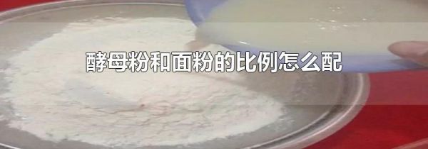 酵母粉和面粉的比例怎么配
