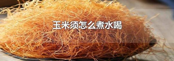 玉米须怎么煮水喝