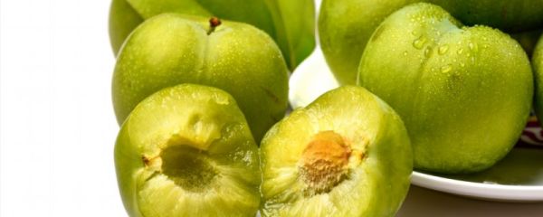 广东的李子怎么腌制可以去酸 广东的李子怎么腌制