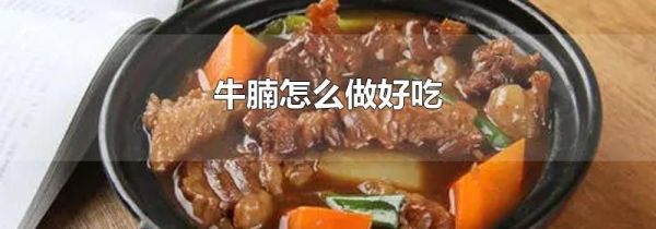 牛腩怎么做好吃