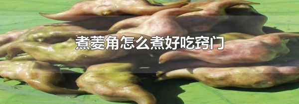 煮菱角怎么煮好吃窍门