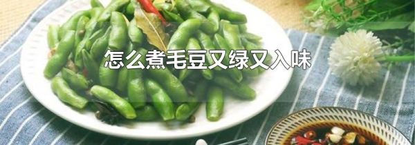怎么煮毛豆又绿又入味