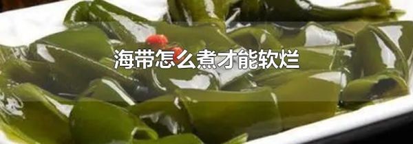 海带怎么煮才能软烂