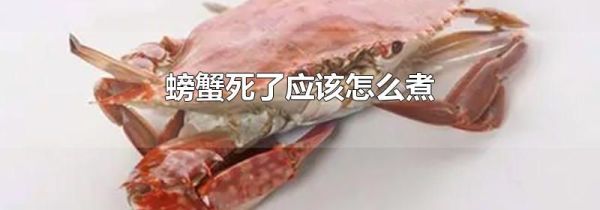 螃蟹死了应该怎么煮