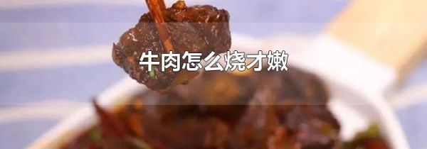 牛肉怎么烧才嫩