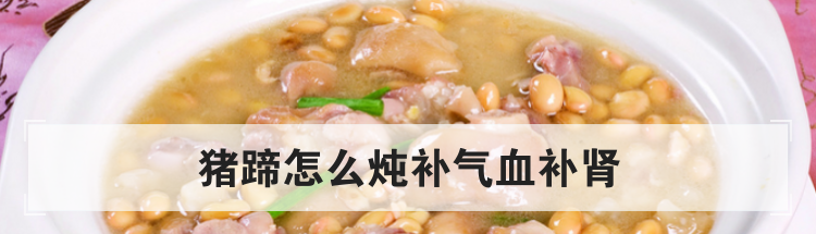 猪蹄怎么炖补气血补肾