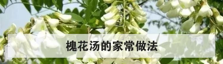 槐花汤的家常做法