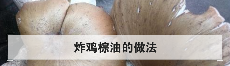炸鸡棕油的做法