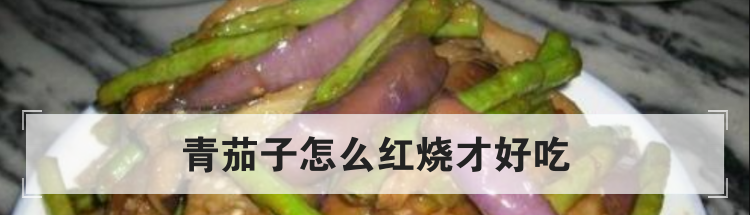 青茄子怎么红烧才好吃