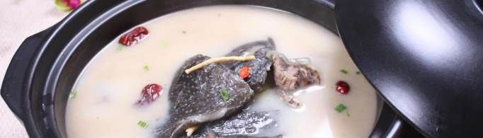乌鸡甲鱼有哪些做法？