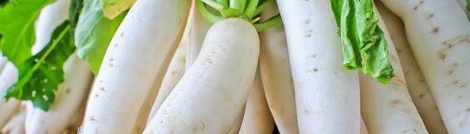 白萝卜治咳嗽的做法是什么？