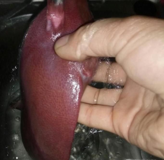爆炒猪肝怎么做?