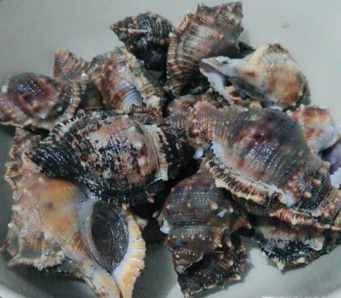 海螺怎么做好吃?