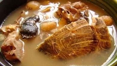 乌龟肉怎么做好吃