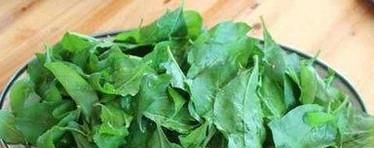 生炒枸杞叶的做法