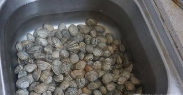 家常爆炒蛤蜊怎么做好吃