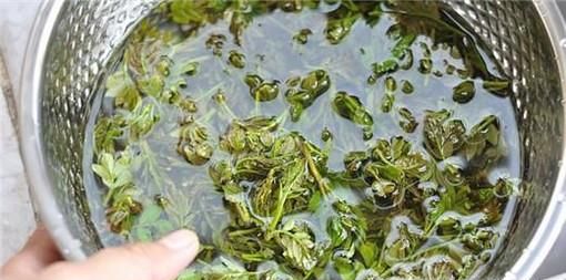 花椒芽怎么做好吃