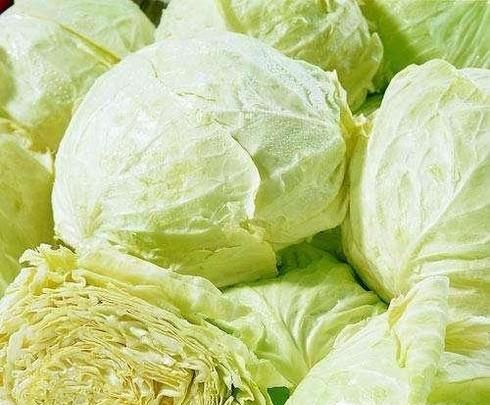 手撕包头菜的做法