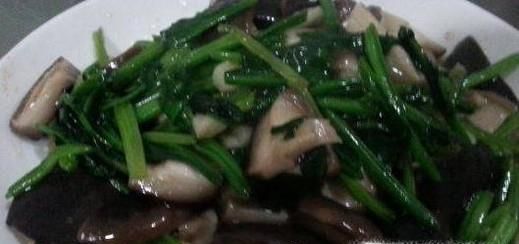 香菇怎么做好吃?