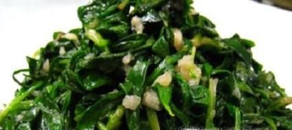 苦苦菜怎么做好吃