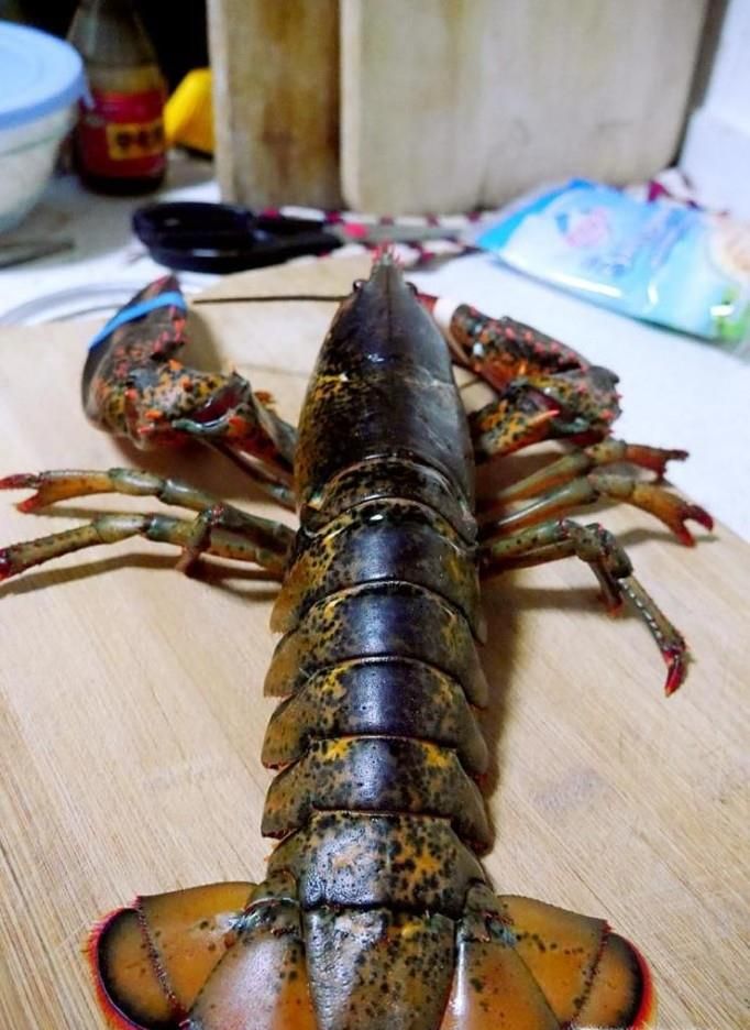 波士顿龙虾的简单做法