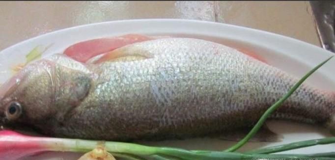 宝宝食谱:清蒸鲈鱼的做法