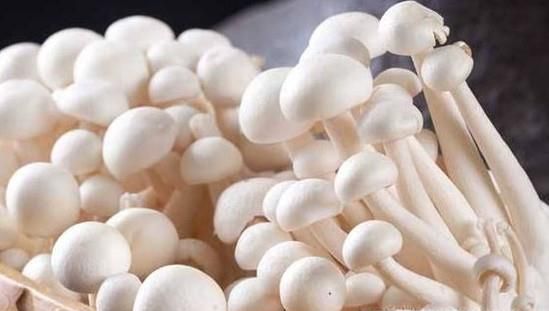 素炒白玉菇的做法