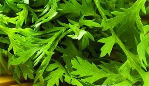 芹菜叶子怎么做最好吃