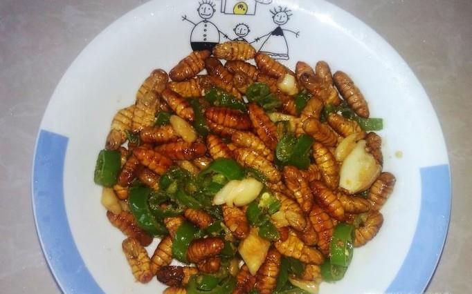 青椒爆蚕蛹的做法