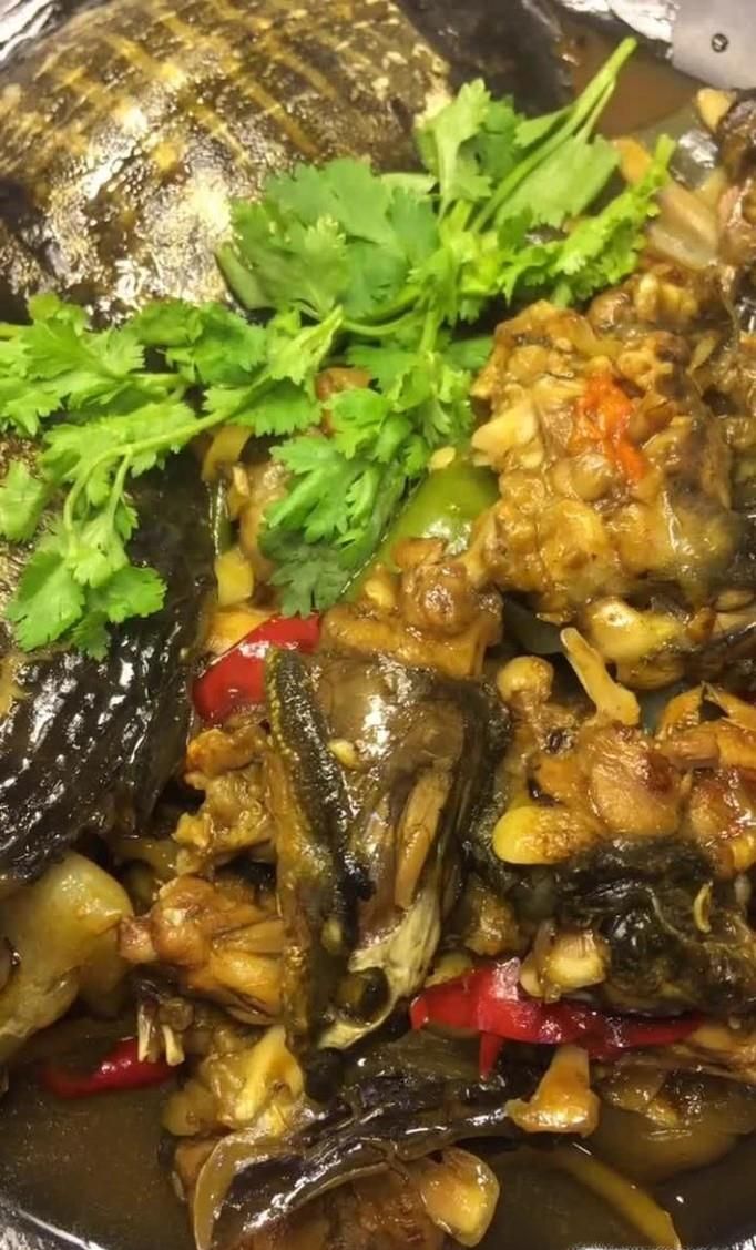 甲鱼如何做好吃？