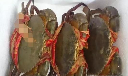 清蒸三门青蟹的做法