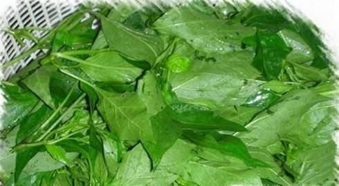 辣椒叶咸菜的做法