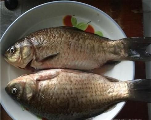 鲫鱼炖茄子的做法