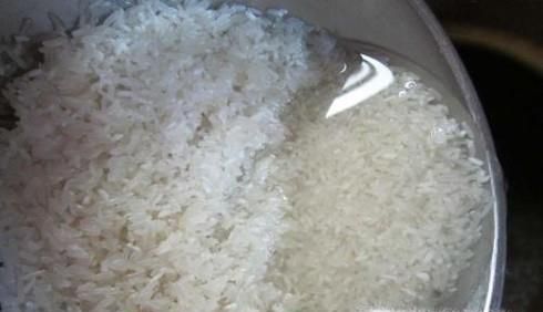 家常鲜虾粥的做法