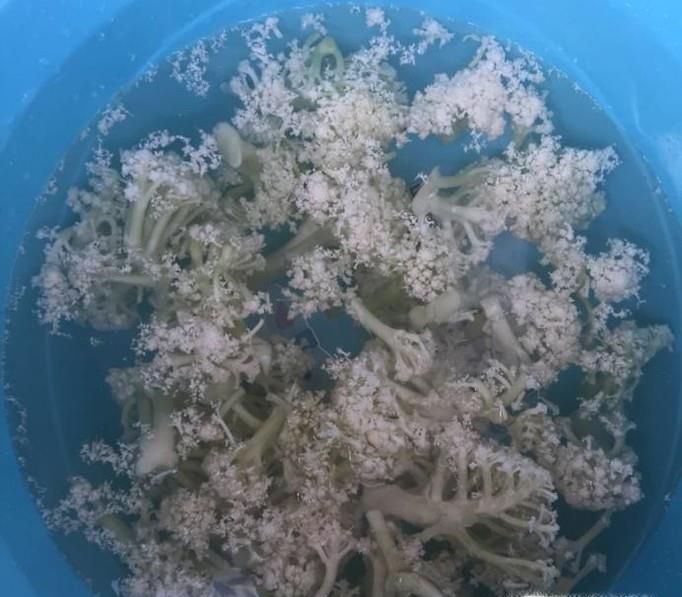 汤饭如何做好吃?