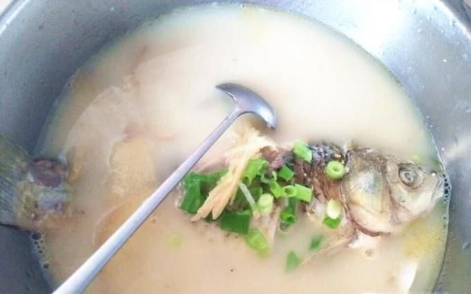 鲫鱼汤怎么做？营养美味最家常鲫鱼汤的做法！