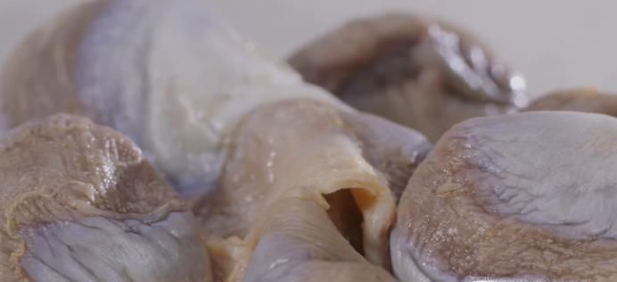 西洋菜陈肾猪骨汤怎么做