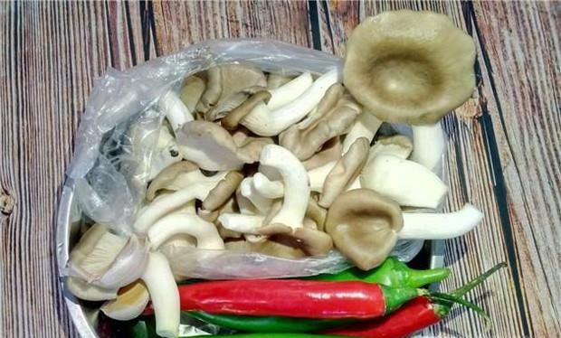 青椒炒平菇的做法