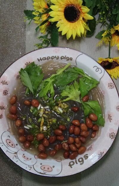 怎样做美味的家常版酸辣粉？