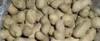 怎么炒带壳花生？