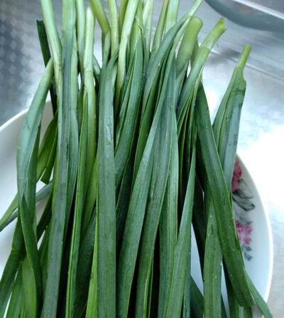 如何制作美味的韭菜鸡蛋饼