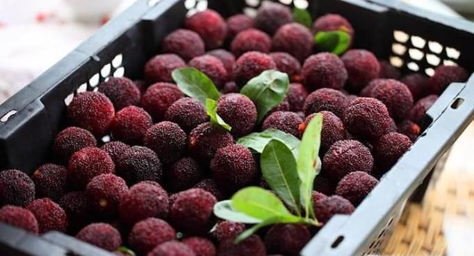 冰镇杨梅的做法