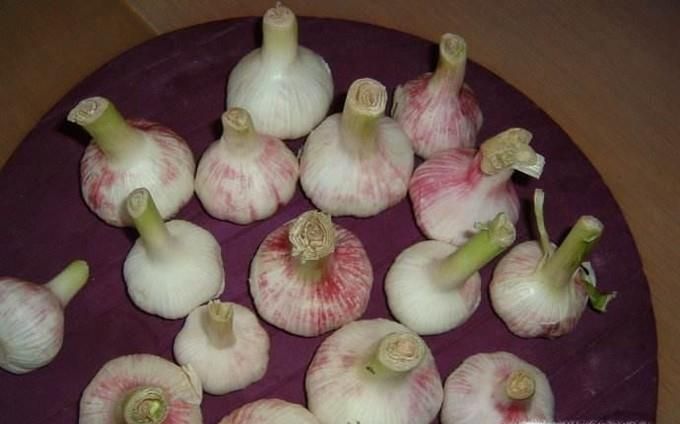 怎么腌制咸蒜瓣、糖蒜