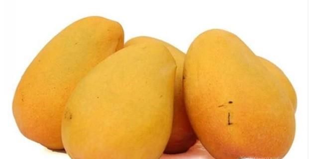 芒果牛奶布丁的做法