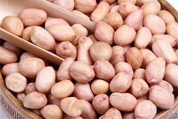 芹菜花生米凉菜怎么做 芹菜花生米凉菜的营养价值