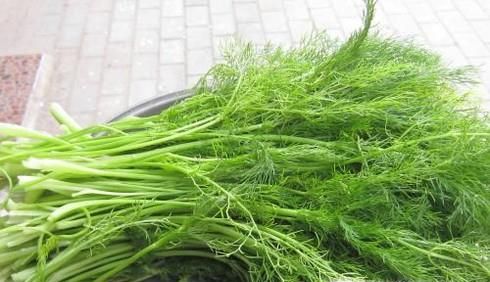 好吃的茴香饺子做法