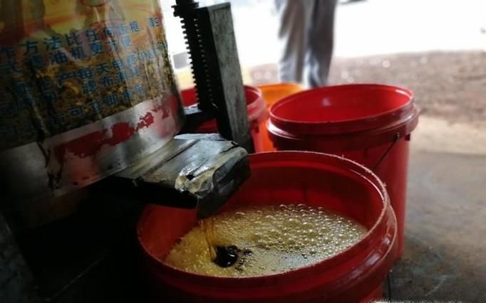 小作坊现榨菜籽油的做法