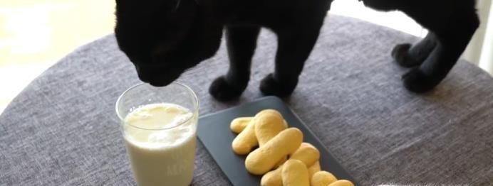 怎么做手指饼干？