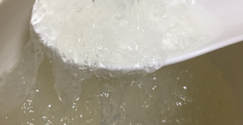 燕窝的做法